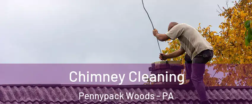 Chimney Cleaning Pennypack Woods - PA