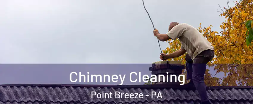 Chimney Cleaning Point Breeze - PA