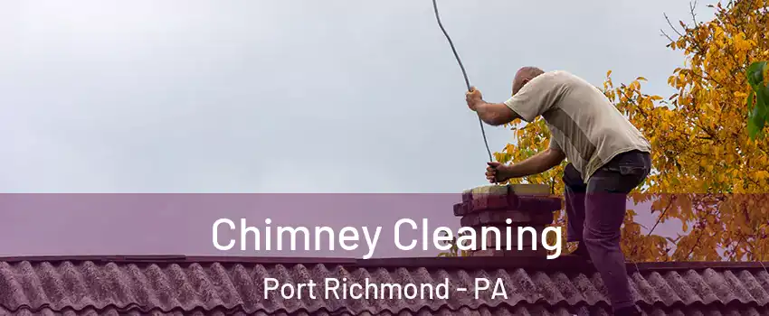 Chimney Cleaning Port Richmond - PA