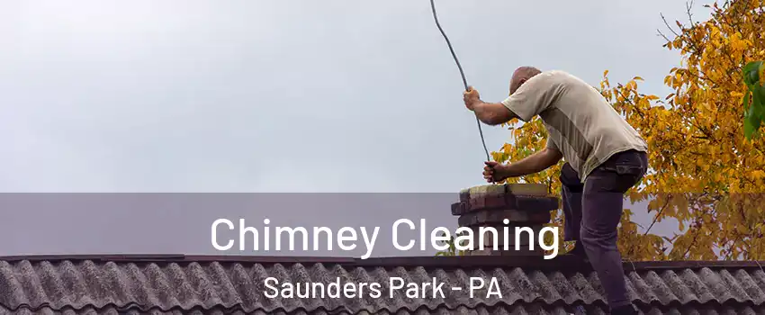 Chimney Cleaning Saunders Park - PA