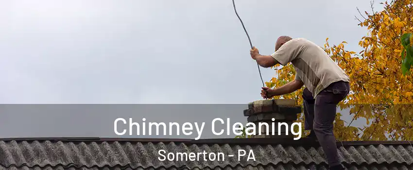 Chimney Cleaning Somerton - PA