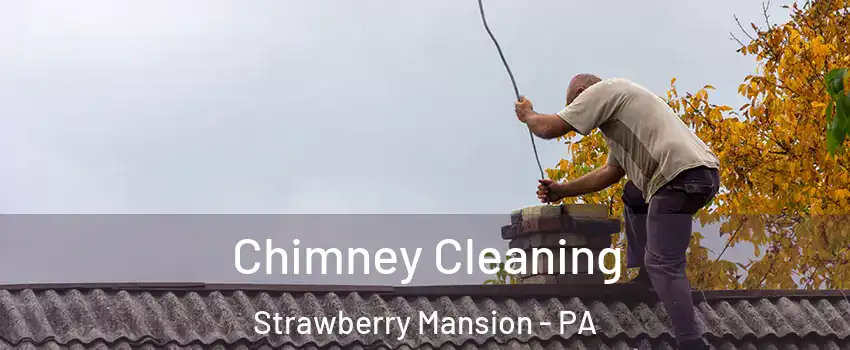 Chimney Cleaning Strawberry Mansion - PA