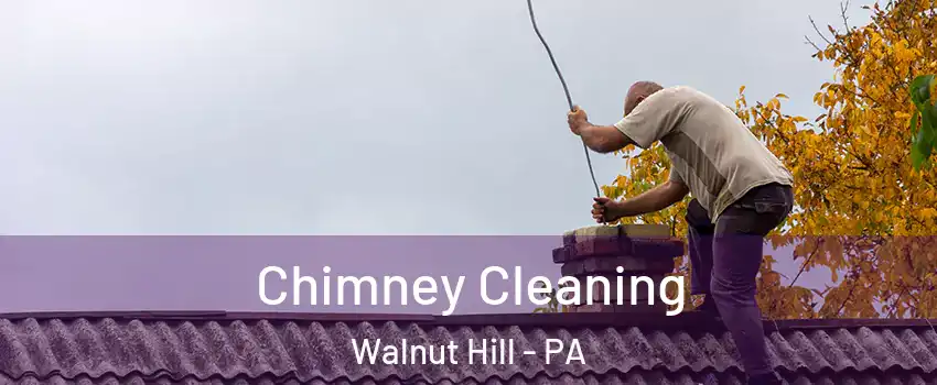 Chimney Cleaning Walnut Hill - PA