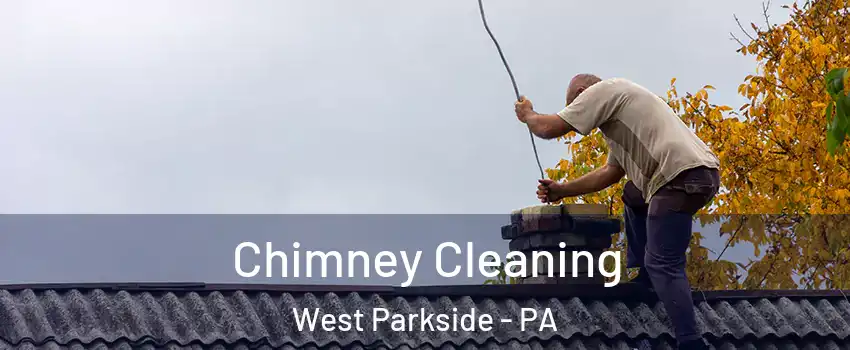 Chimney Cleaning West Parkside - PA