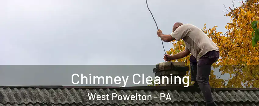 Chimney Cleaning West Powelton - PA