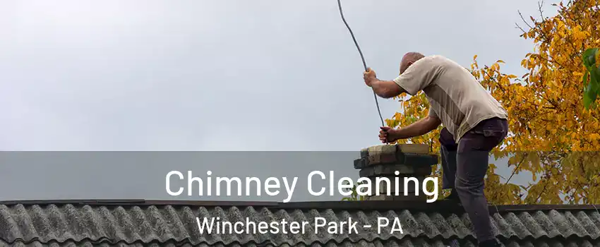 Chimney Cleaning Winchester Park - PA