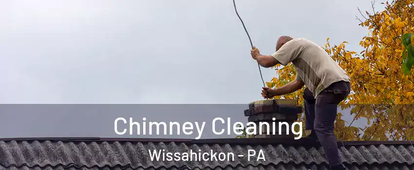Chimney Cleaning Wissahickon - PA