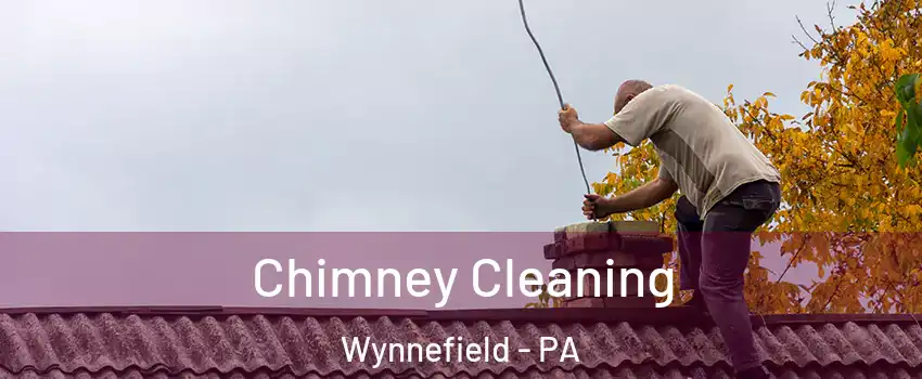 Chimney Cleaning Wynnefield - PA