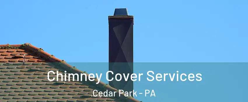 Chimney Cover Services Cedar Park - PA