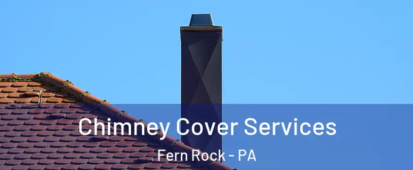 Chimney Cover Services Fern Rock - PA