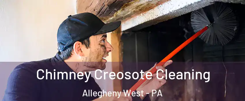 Chimney Creosote Cleaning Allegheny West - PA