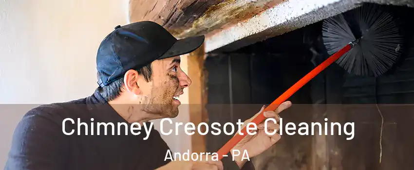 Chimney Creosote Cleaning Andorra - PA