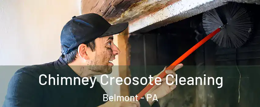 Chimney Creosote Cleaning Belmont - PA