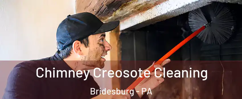Chimney Creosote Cleaning Bridesburg - PA