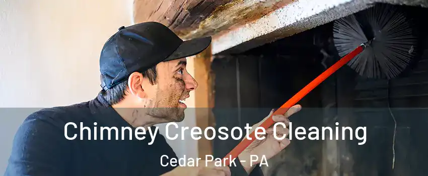 Chimney Creosote Cleaning Cedar Park - PA