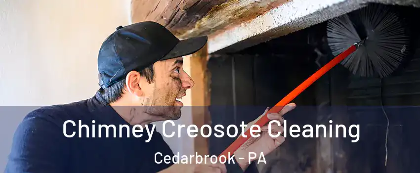 Chimney Creosote Cleaning Cedarbrook - PA