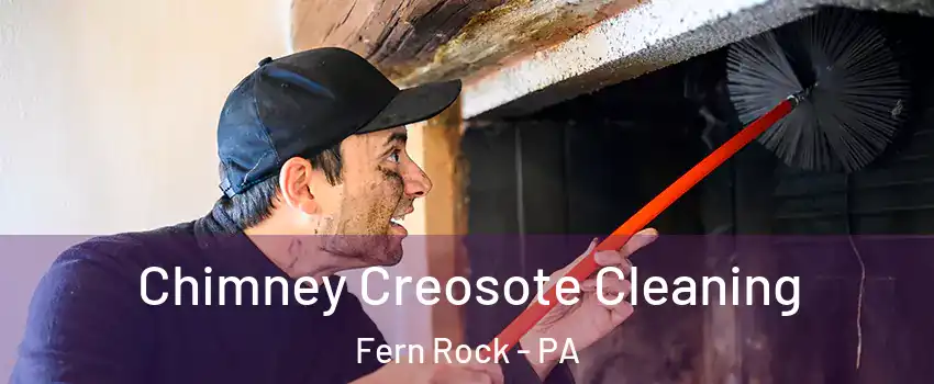 Chimney Creosote Cleaning Fern Rock - PA