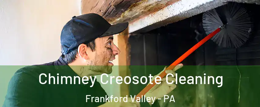 Chimney Creosote Cleaning Frankford Valley - PA