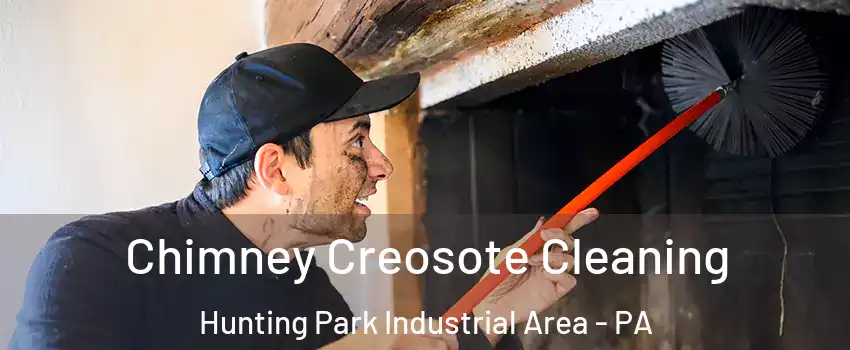 Chimney Creosote Cleaning Hunting Park Industrial Area - PA