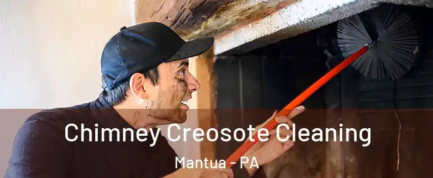 Chimney Creosote Cleaning Mantua - PA