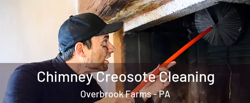 Chimney Creosote Cleaning Overbrook Farms - PA