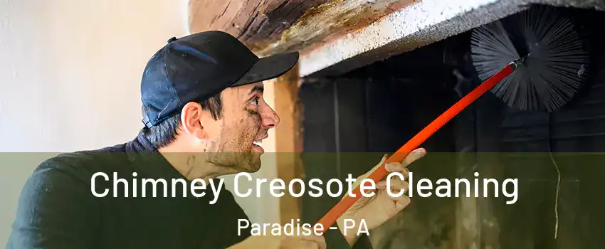 Chimney Creosote Cleaning Paradise - PA