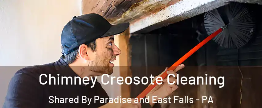 Chimney Creosote Cleaning Shared By Paradise and East Falls - PA