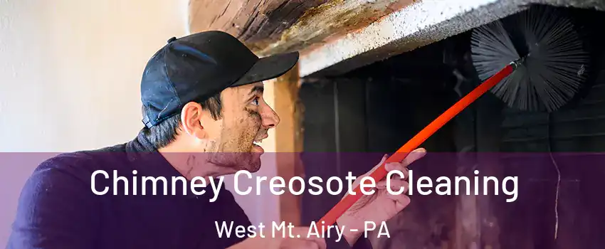 Chimney Creosote Cleaning West Mt. Airy - PA
