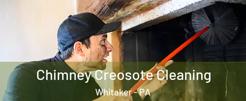Chimney Creosote Cleaning Whitaker - PA