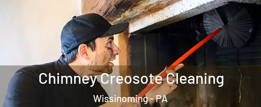 Chimney Creosote Cleaning Wissinoming - PA