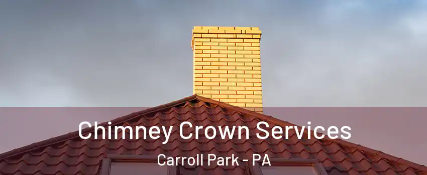 Chimney Crown Services Carroll Park - PA