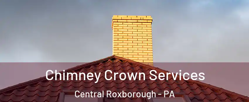 Chimney Crown Services Central Roxborough - PA