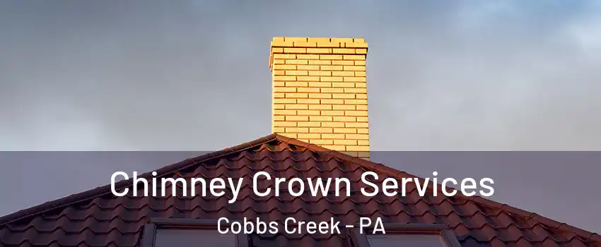 Chimney Crown Services Cobbs Creek - PA