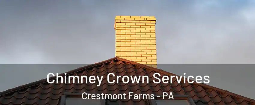 Chimney Crown Services Crestmont Farms - PA