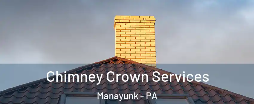 Chimney Crown Services Manayunk - PA