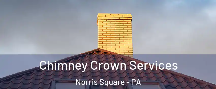 Chimney Crown Services Norris Square - PA