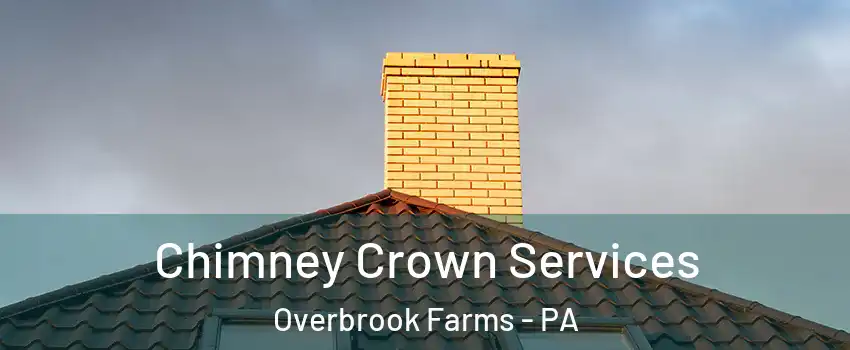 Chimney Crown Services Overbrook Farms - PA