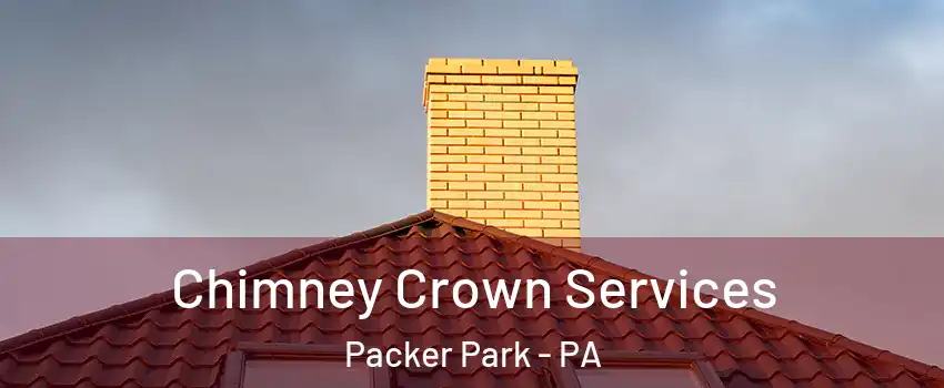 Chimney Crown Services Packer Park - PA