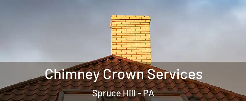 Chimney Crown Services Spruce Hill - PA
