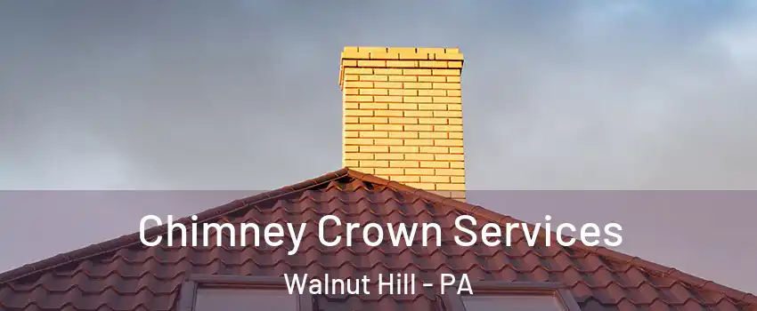 Chimney Crown Services Walnut Hill - PA