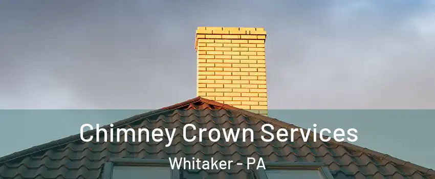 Chimney Crown Services Whitaker - PA