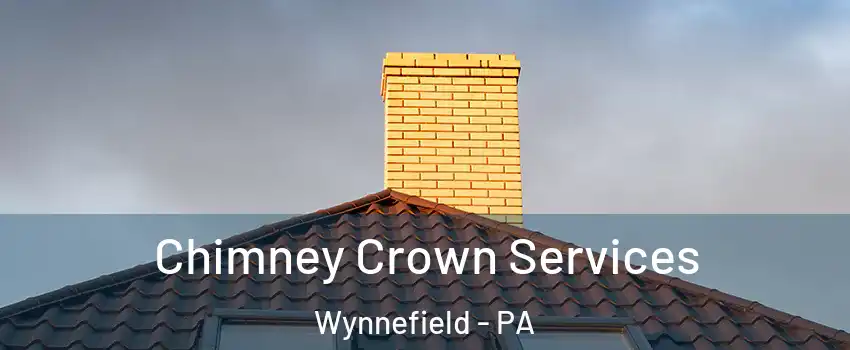Chimney Crown Services Wynnefield - PA