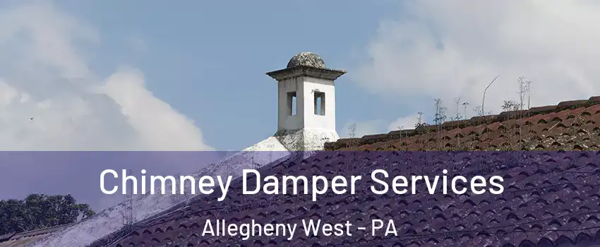 Chimney Damper Services Allegheny West - PA