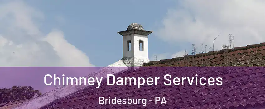 Chimney Damper Services Bridesburg - PA