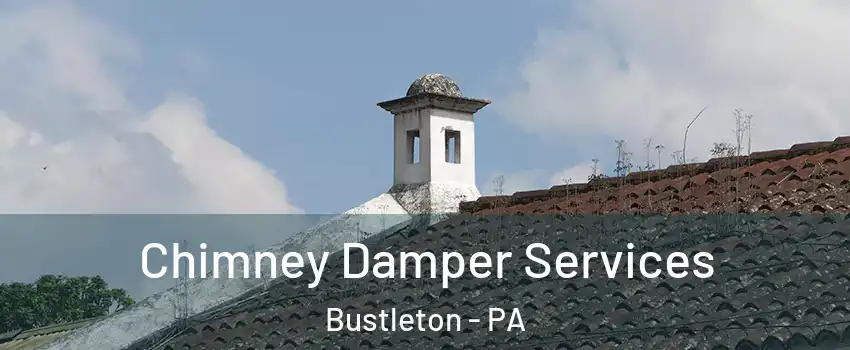 Chimney Damper Services Bustleton - PA