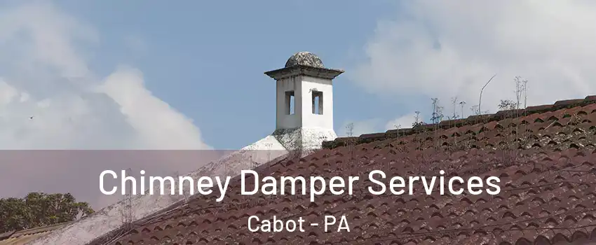 Chimney Damper Services Cabot - PA