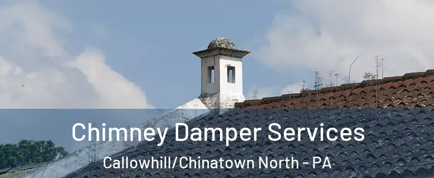 Chimney Damper Services Callowhill/Chinatown North - PA
