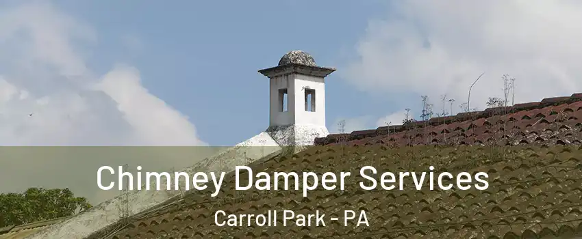 Chimney Damper Services Carroll Park - PA