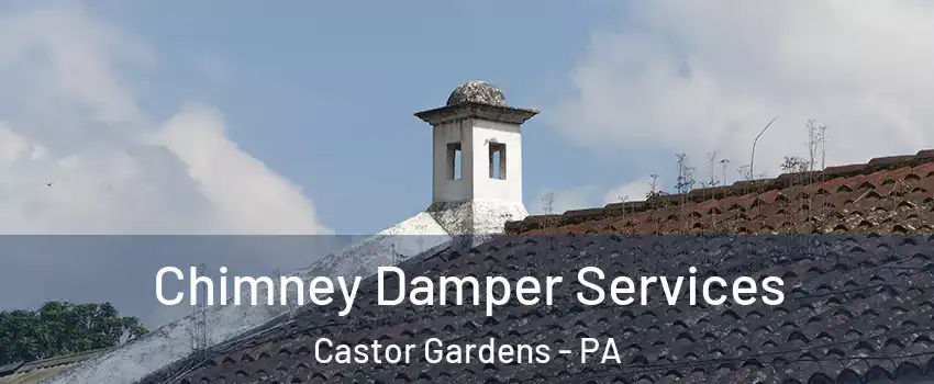 Chimney Damper Services Castor Gardens - PA
