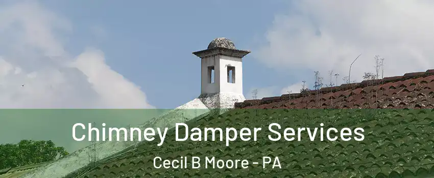 Chimney Damper Services Cecil B Moore - PA